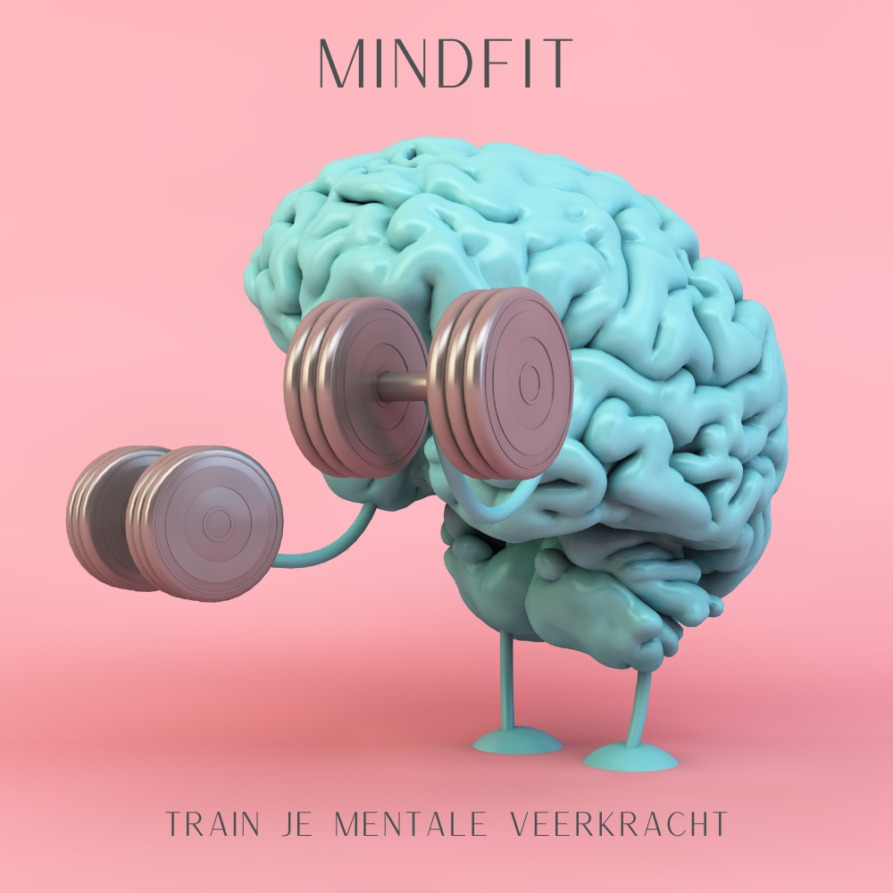 Mindfit 01 Mindfit 01